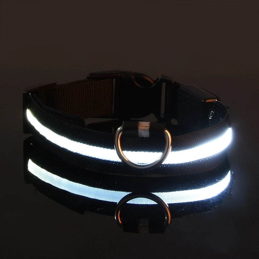 Dog Nylon LED Night Safety Flashing Collar