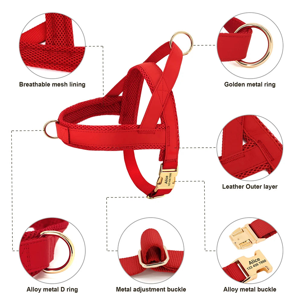 Dog Personalized Collar Harness Leash Set
