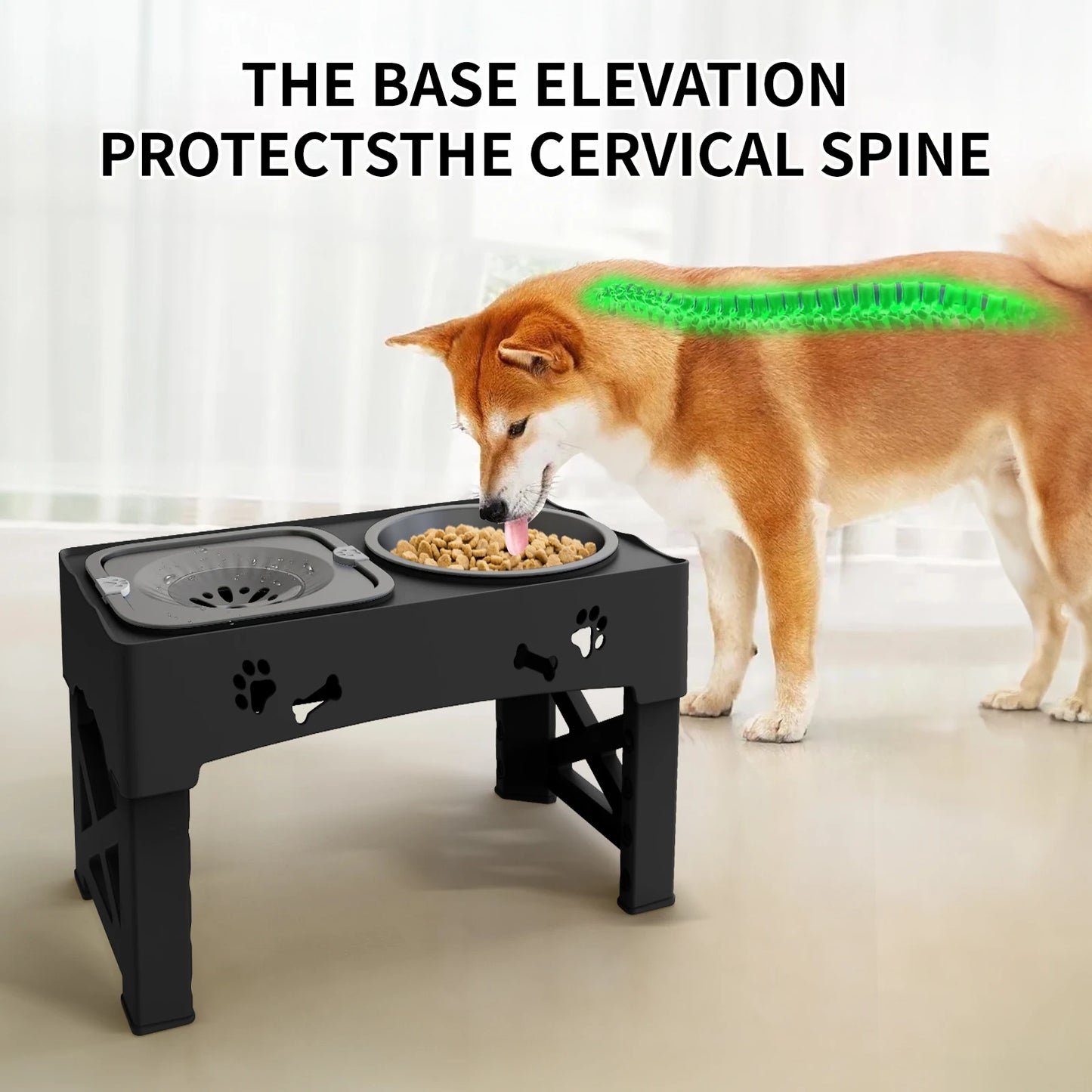 Pet 3 In 1 Foldable Double Bowl