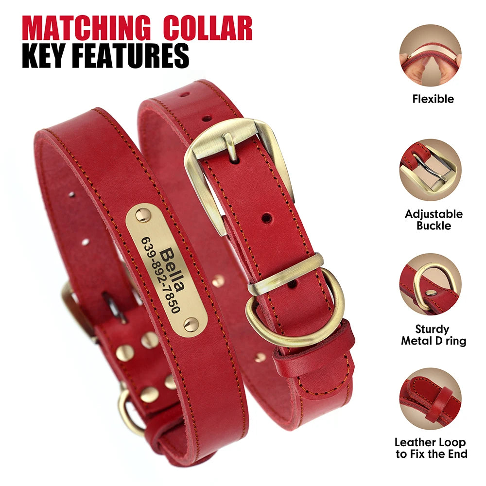 Dog Durable Genuine Leather Collar Leash Set