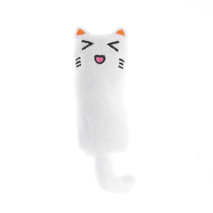 Pet Rustle Sound Catnip Toy