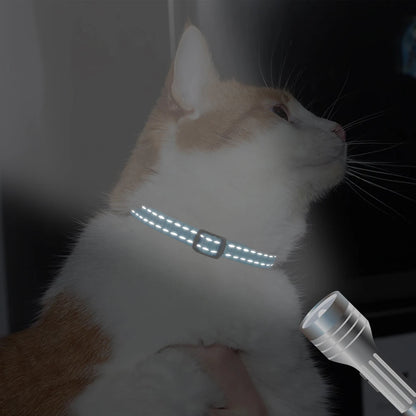Cat Reflective Nylon Personalized Collar